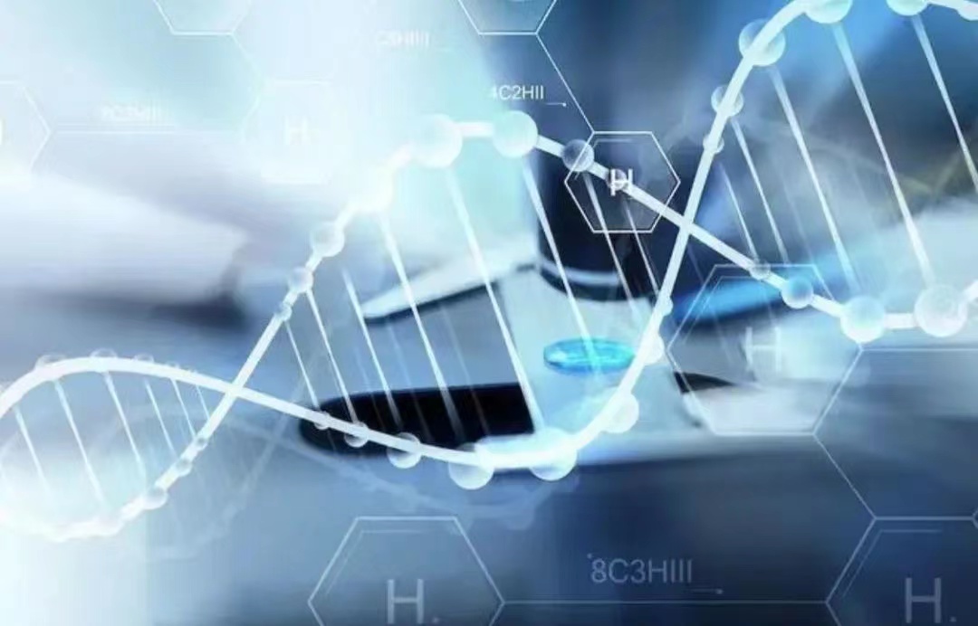 美狮贵宾会·(中国)官方网站
